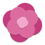 Rosegarden icon