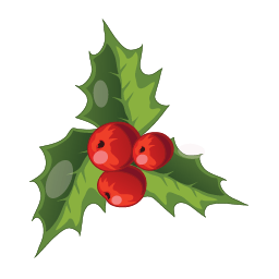 Christmas Mistletoe icon