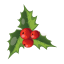 Christmas Mistletoe icon