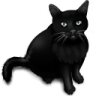 Black-Cat icon