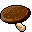 Shiitake Mushroom icon