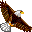 Bald Eagle icon