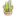 G12 Flowerpot Cacti icon