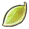 G12-Leaf icon