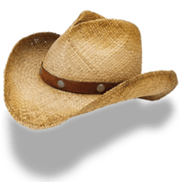 Hat cowboy straw icon
