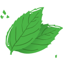 Mint-leaf icon
