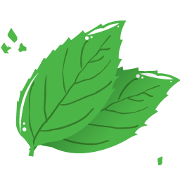 Mint leaf icon