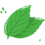 Mint leaf Icon | Chocolate Iconset | Robin Weatherall