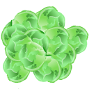 Brussels Sprout icon