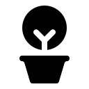 Plant houseplant icon