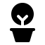 Plant houseplant icon