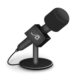 Microphone foam black icon