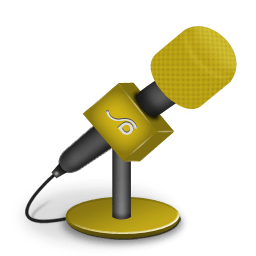 Microphone foam orange icon