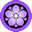 Purple Kikyo icon