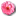 Wild Rose Pink 1 icon