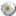 Wild Rose White 2 icon