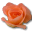Rose-peach-2 icon