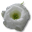 Wild-Rose-White-1 icon