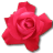 Rose-Cerise icon