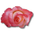 Rose China icon