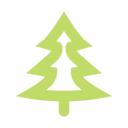 Tree conifer icon