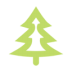 Tree-conifer icon