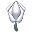 Tulipacea icon