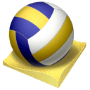 Beach volley icon