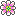 Anemone-Keiskeana icon