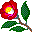 Camellia Japonica icon