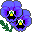 Garden-Pansy-Blue icon