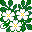 Rosa Multiflora icon
