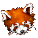 Firefox panda red icon