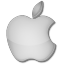 Apple grey icon