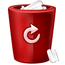 Bin red icon