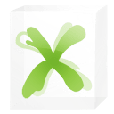 Ms office exel icon