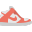 Nike-dunk icon