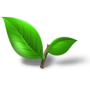 Tea plant leaf icon