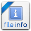 File info icon