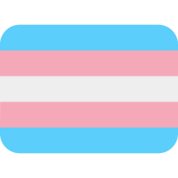 Special Transgender Flag icon