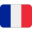 France Flag icon