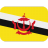 Brunei-Flag icon