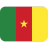 Cameroon-Flag icon