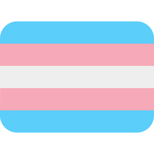 Special Transgender Flag icon