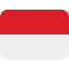 Indonesia Flag icon