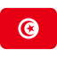 Tunisia Flag icon