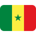 Senegal-Flag icon