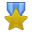 0041-Medal-Gold icon
