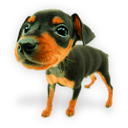 Puppy 7 icon