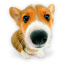 Puppy 10 icon